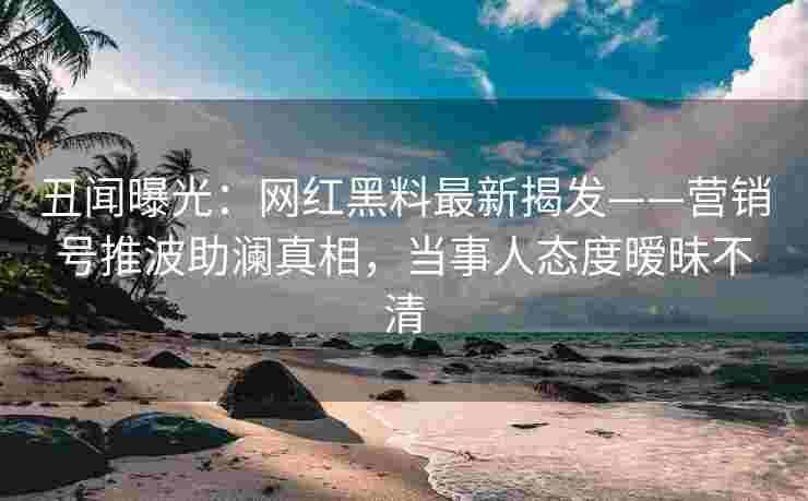 丑闻曝光：网红黑料最新揭发——营销号推波助澜真相，当事人态度暧昧不清